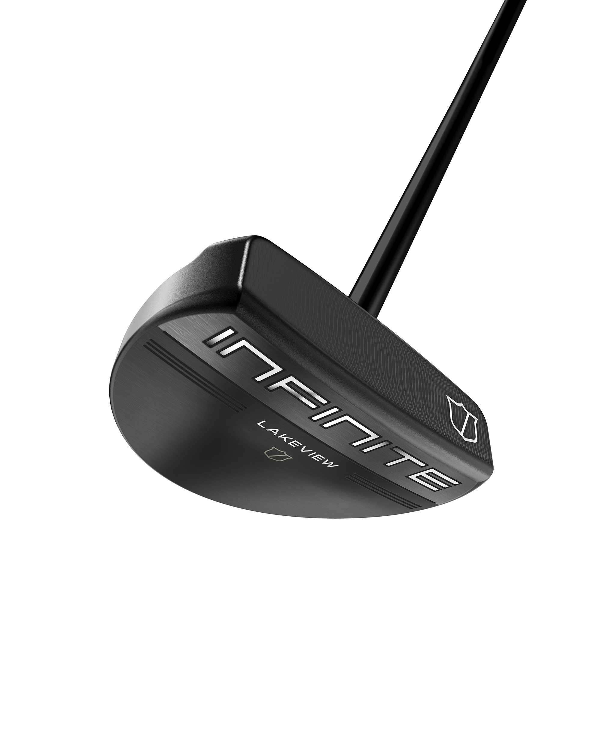 Infinite ZT Lakeview